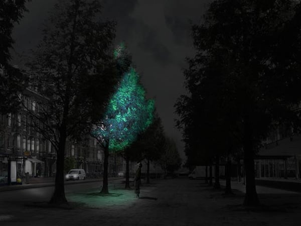 Light_Emitting_Tree
