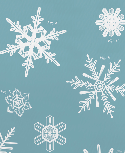 fractal-snowflake