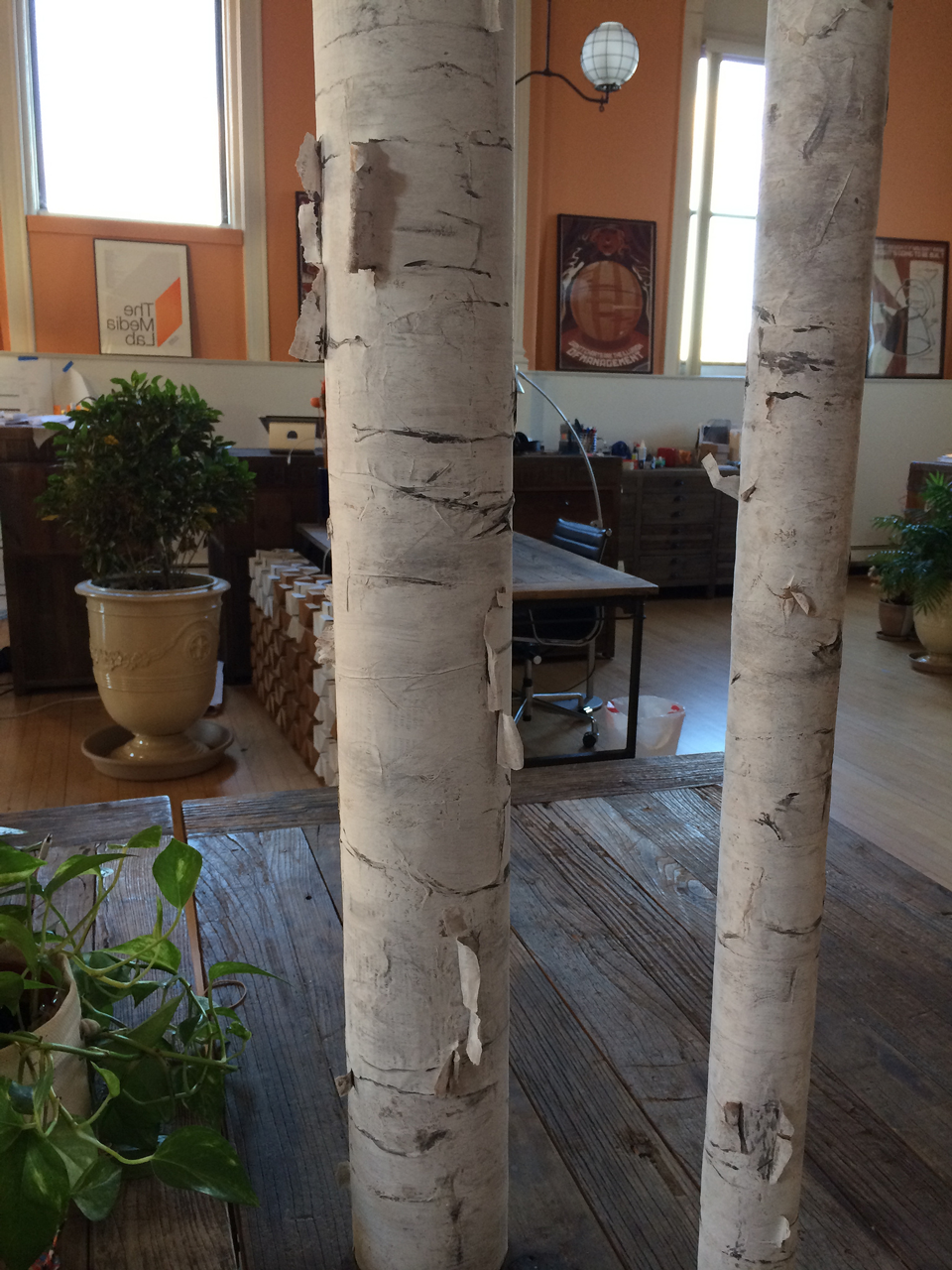 faux-birch