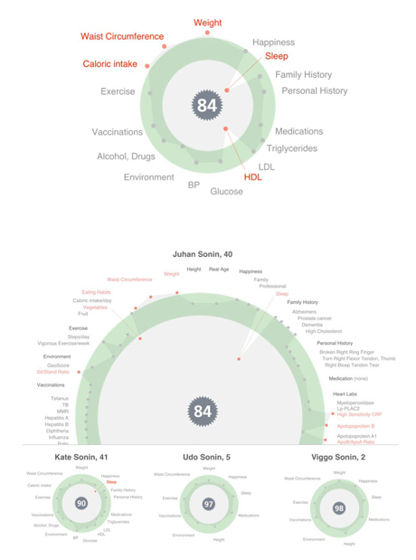 hGraph information visualization