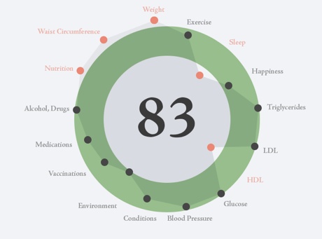 hGraph, your health in one picture