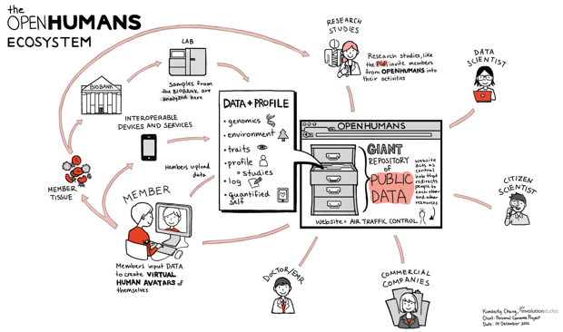 Involution Studios designers mapped the PGP organization and constituencies.