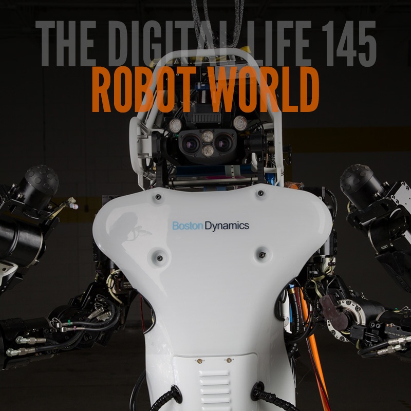 145_robot_world.jpg