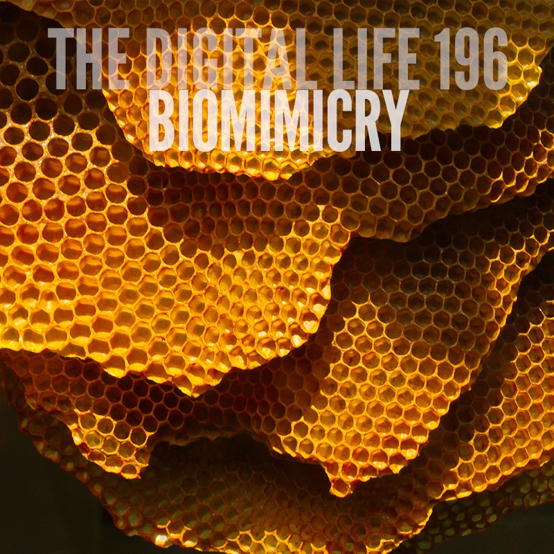 biommimicry2.jpg